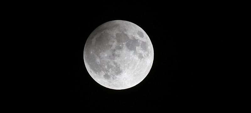 Harvest Moon