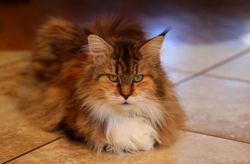   New lens test