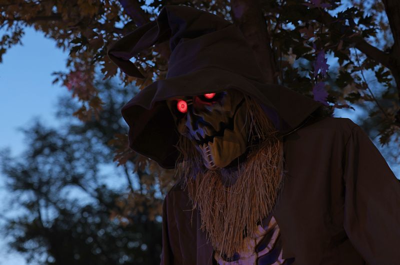   My neighbors love Halloween