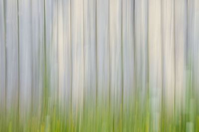 g13/59/6313659/3/173942567.960a5d36.JPEG