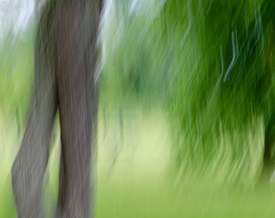 g13/59/6313659/3/173942576.c05e8040.JPEG