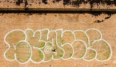 g13/59/6313659/3/174030398.5d5f50b1.JPEG