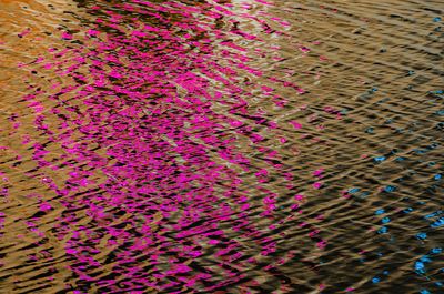 Abstract
