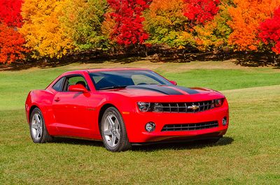 Autumn Camaro