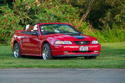 Ellington NY Bicentennial Cruise In
