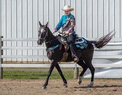 Albion Fair Open Horse Show