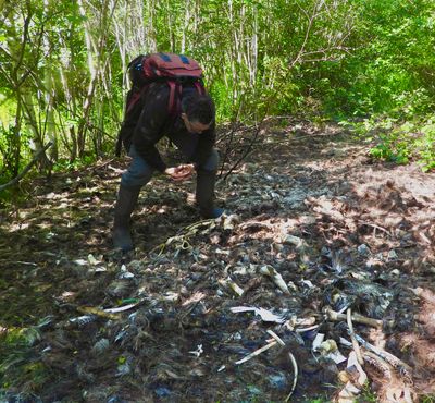 Don inspecting the pile of Moose remains