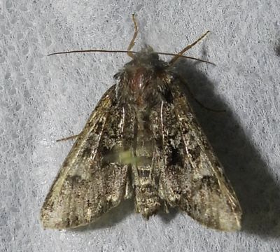 g13/59/68959/3/175591376.b9a81012.JPEG