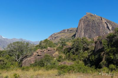 La Foresta sacra