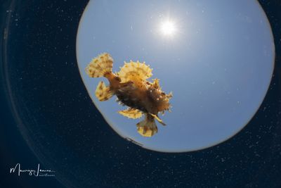 g13/59/800659/3/174747768.c7b93337.JPEG