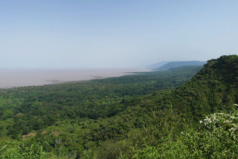 Lake Manyara Coast line_P1030577.jpg
