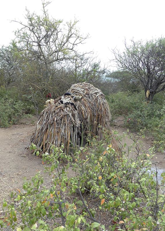 Hadza_P1030745.jpg
