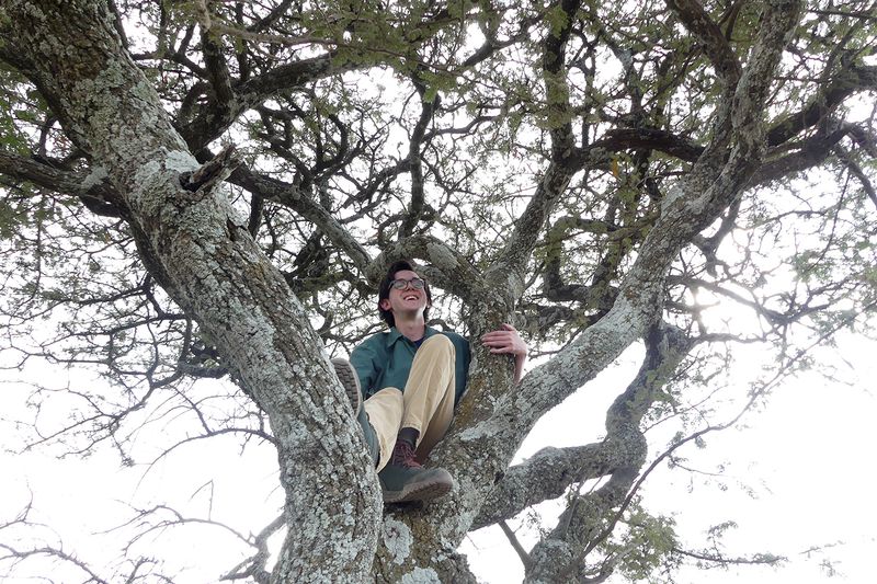 Boy in a tree_P1040053.jpg
