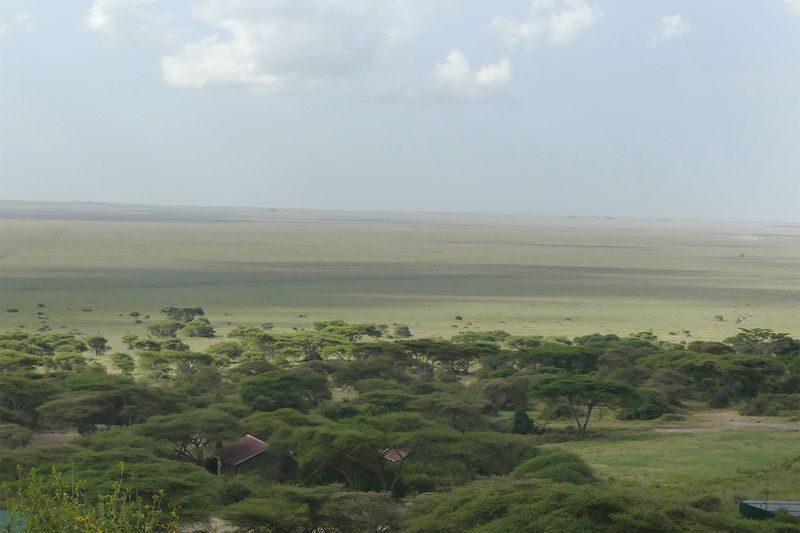 East Serengeti Plains_P1040038.jpg