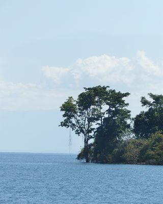 g13/59/814559/3/174988243.3cb0b07e.JPEG