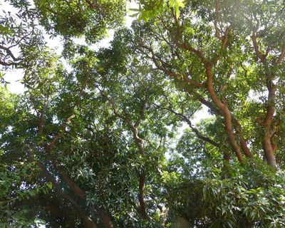 g13/59/814559/3/174988258.4007d675.JPEG