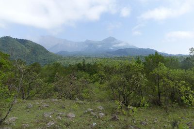 Landcape_P1020879.jpg