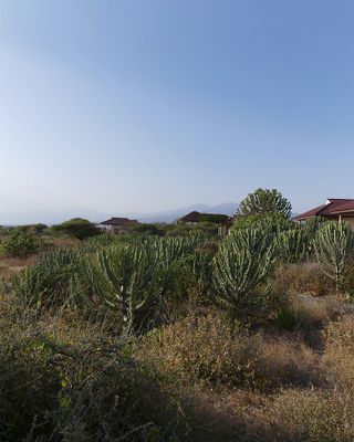 Cabins_P1030584.jpg