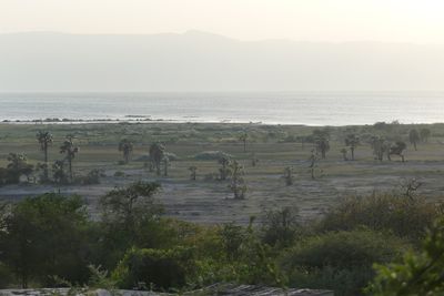 Lake Manyara_P1030614.jpg
