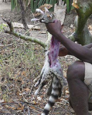 Hadza_P1030709.jpg