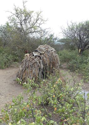 Hadza_P1030745.jpg