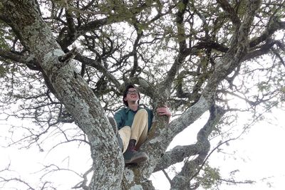 Boy in a tree_P1040053.jpg