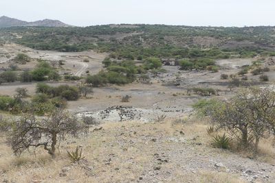 Olduvai Gorge_P1030852.jpg