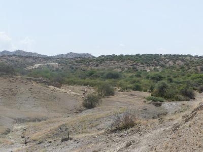 Olduvai Gorge_P1030857.jpg