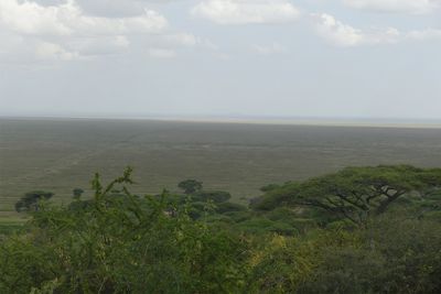 East Serengeti Plains_P1040041.jpg