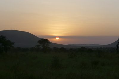 East Seregenti Plains_P1040265.jpg