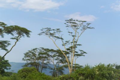 Ngorongoro Crater_P1050289.jpg