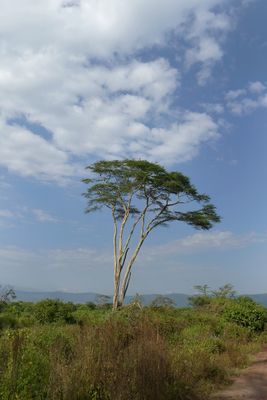 Ngorongoro Crater_P1050308.jpg