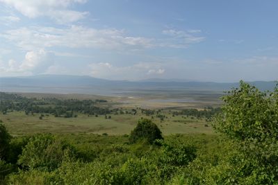 Ngorongoro Crater_P1050316.jpg