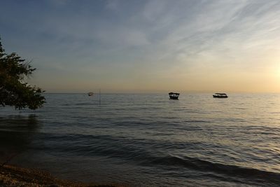 g13/59/814559/3/174989974.a38107d3.JPEG
