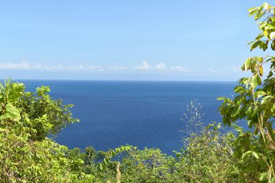 Lake Tangayika_P1020087.jpg