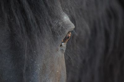 DSC_7610.jpg