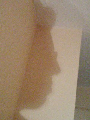 20170609_235331.jpg