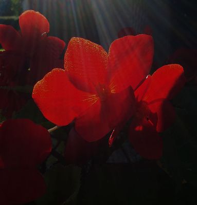 20201017_151805.jpg