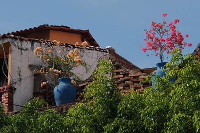 Yucatan