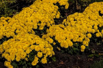 _DSC8319.jpg