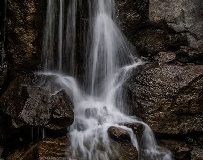 _DSC3771.jpg