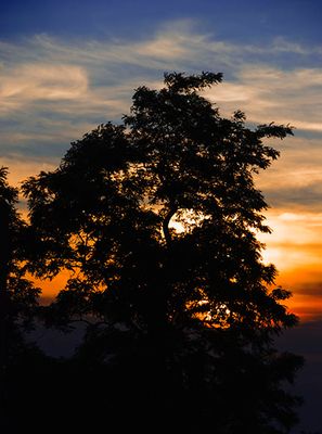 _DSC5119.jpg