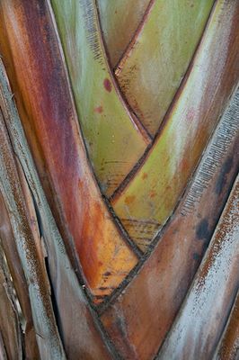 _DSC9681.jpg