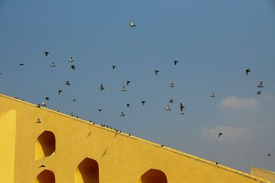 _DSC4337.jpg