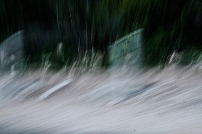 _DSC8666.jpg