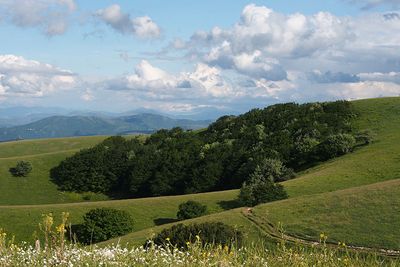 P6040199.jpg