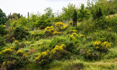 P6100060.jpg