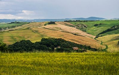 P6100143.jpg
