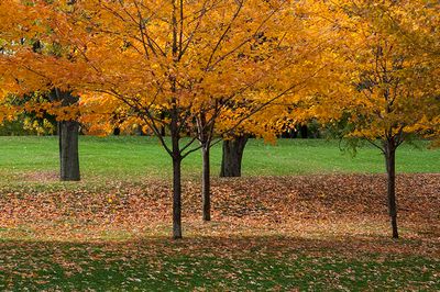 _DSC7803.jpg