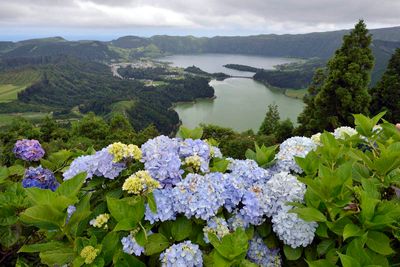 Lagoa das 7 Cidades, S. Miguel Island, Azores, Portugal